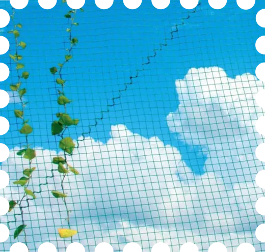 postage stamp photo