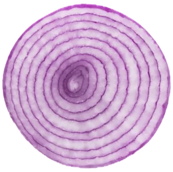 onion slice sticker