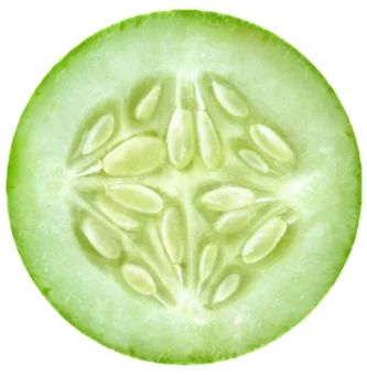 cucumber slice sticker